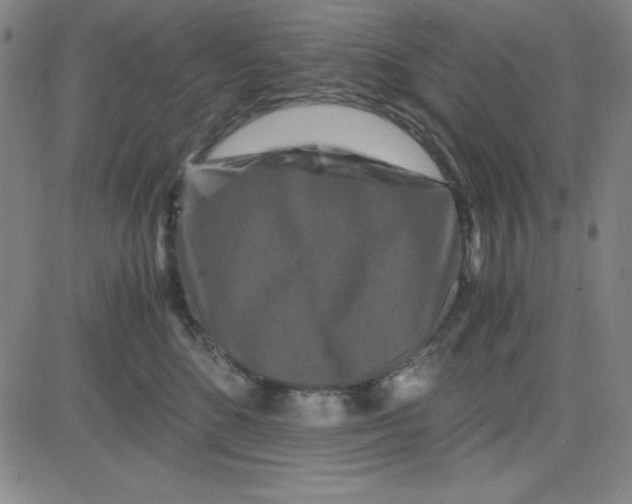 X0000081490520200702021926