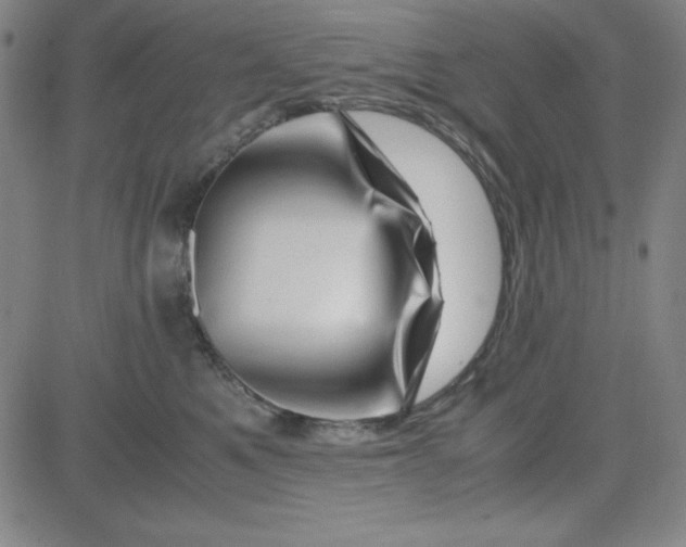 X0000081490521200702021926