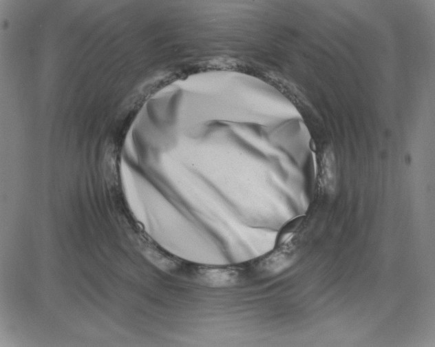 X0000081490522200702021926