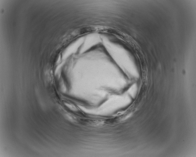 X0000081490523200702021926