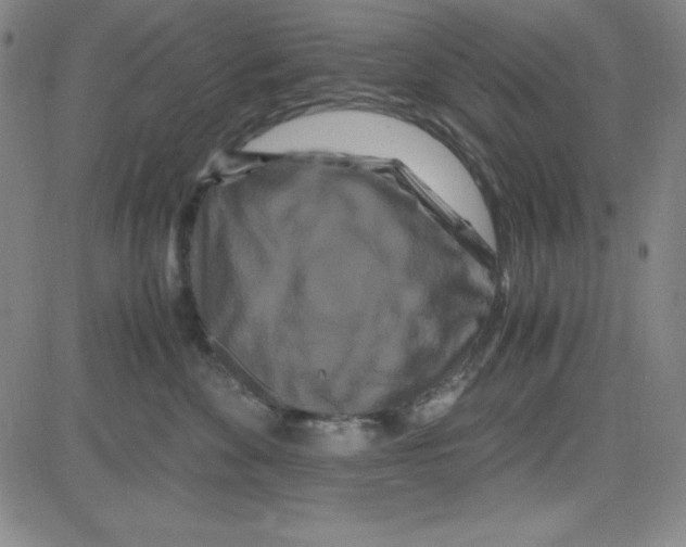 X0000081490524200702021926