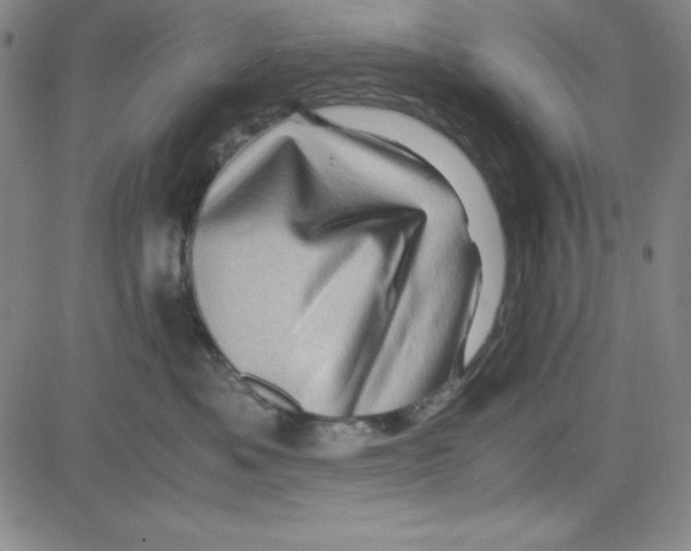 X0000081490525200702021926