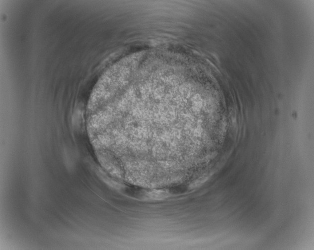 X0000081490527200702021926