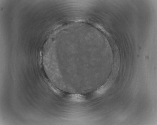 X0000081490528200702021926