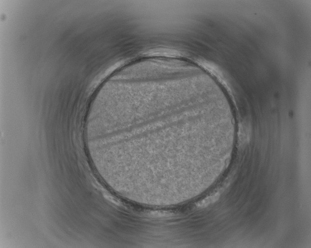 X0000081490529200702021925