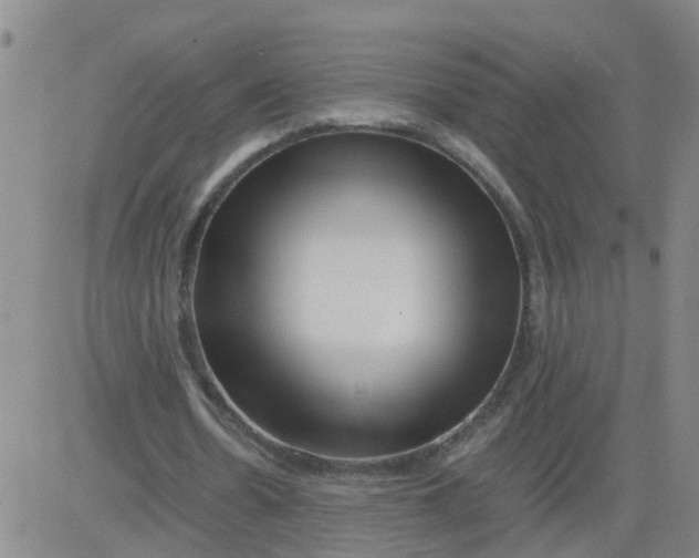 X0000081490530200702021925