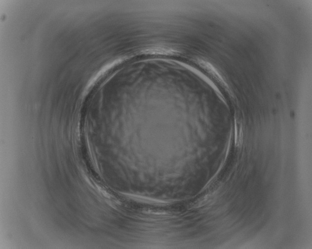 X0000081490531200702021925