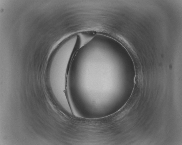 X0000081490532200702021925