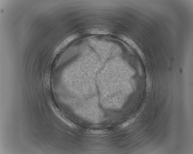 X0000081490533200702021925