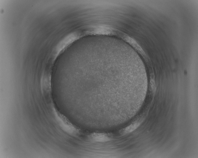 X0000081490534200702021925