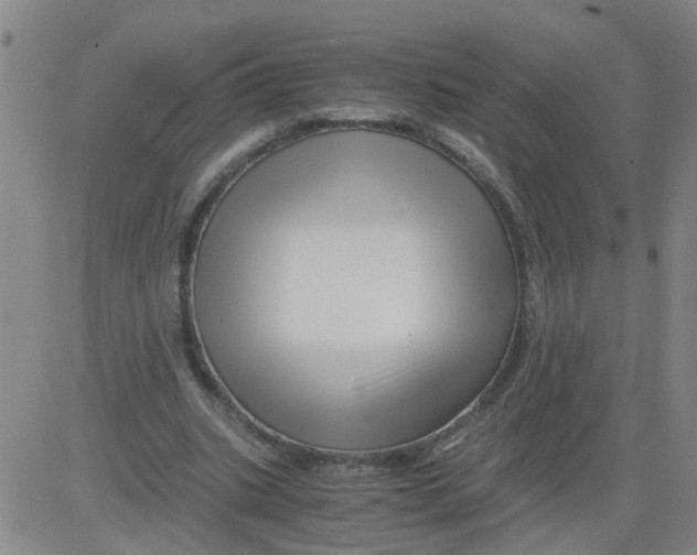 X0000081490535200702021925