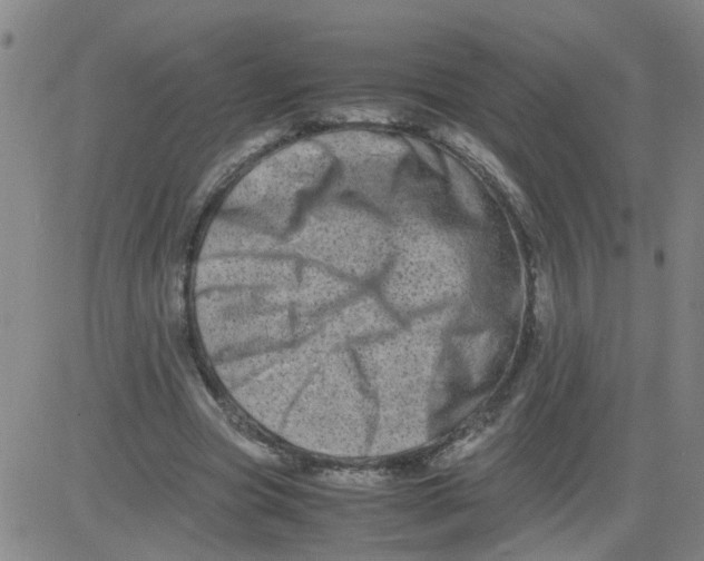 X0000081490537200702021925