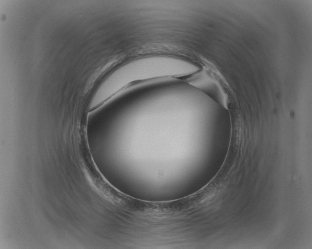 X0000081490538200702021925