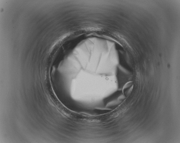 X0000081490539200702021925