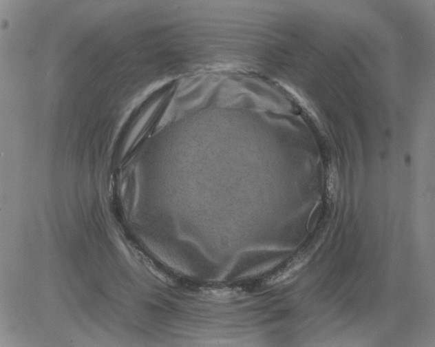 X0000081490540200702021925