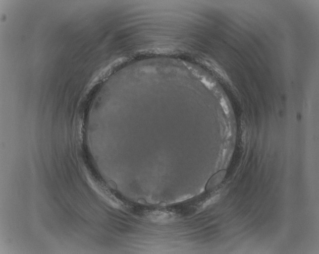 X0000081490542200702021925