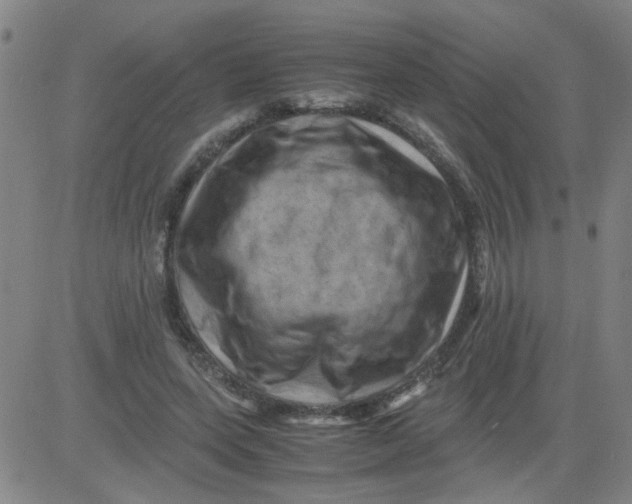 X0000081490543200702021925