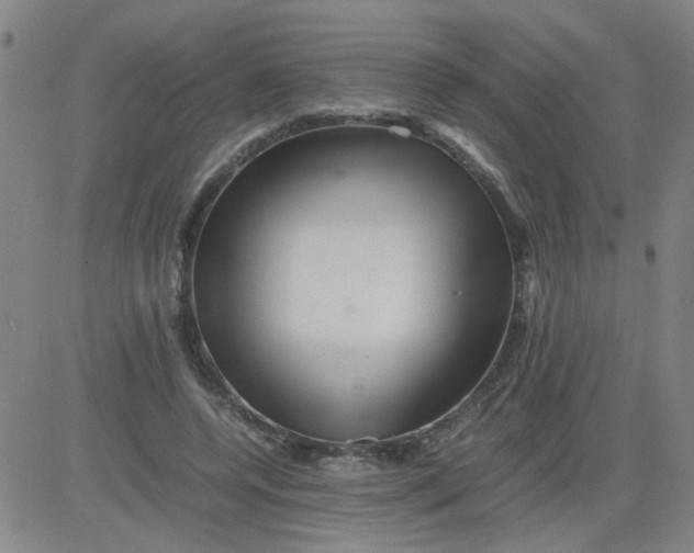 X0000081490544200702021925