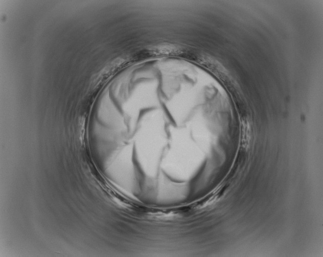 X0000081490545200702021925