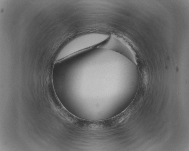 X0000081490546200702021925