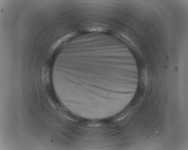 X0000081490547200702021925