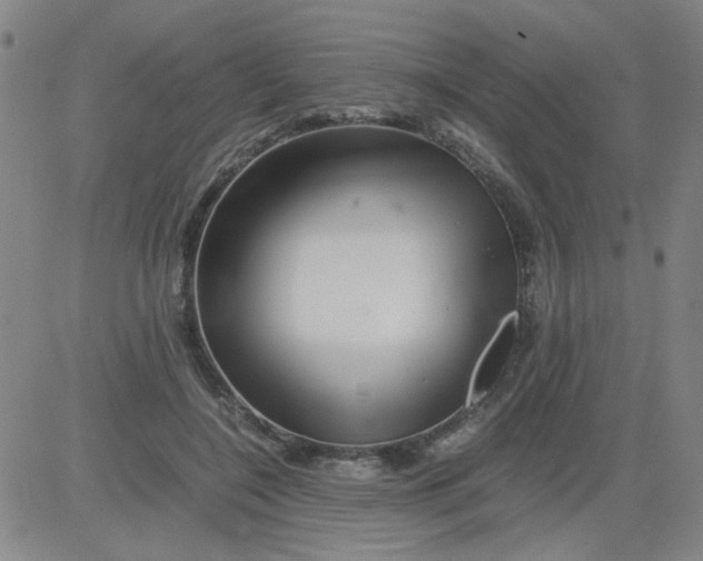 X0000081490548200702021925