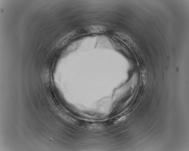 X0000081490549200702021925