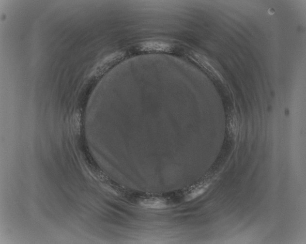 X0000081490551200702021925