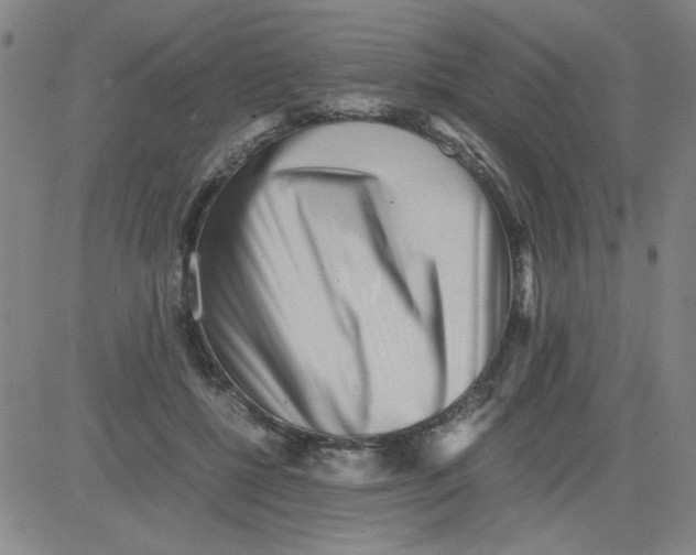 X0000081490552200702021925