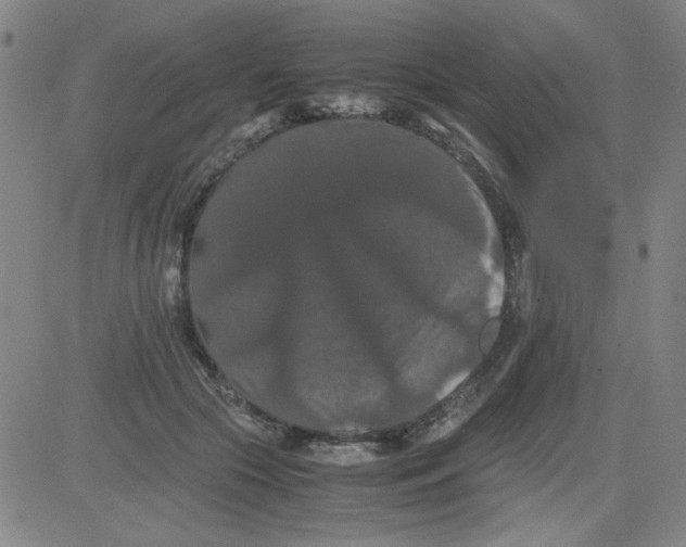 X0000081490553200702021925