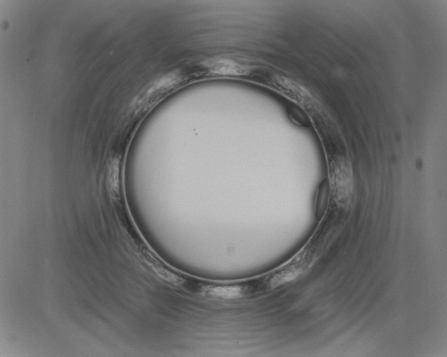 X0000081490554200702021925