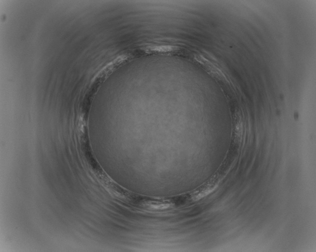 X0000081490555200702021925