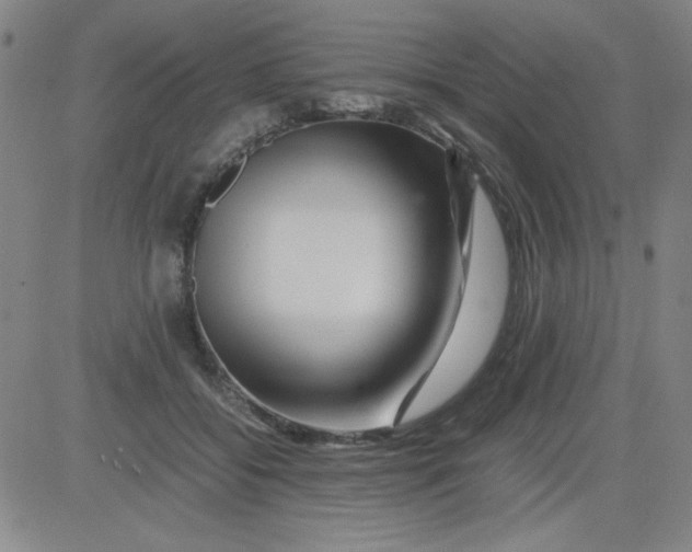 X0000081490556200702021925