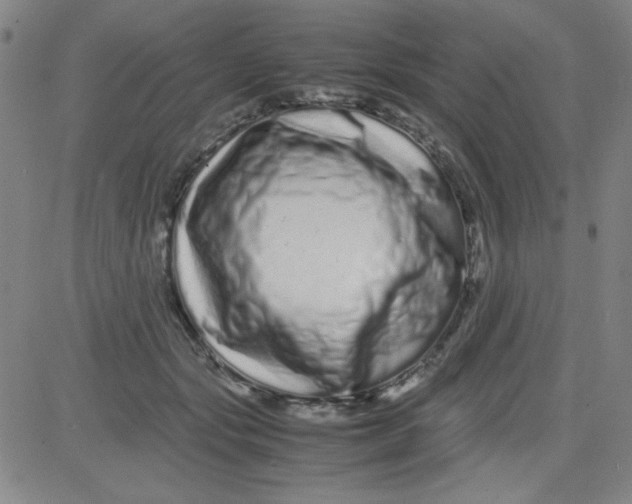 X0000081490557200702021925