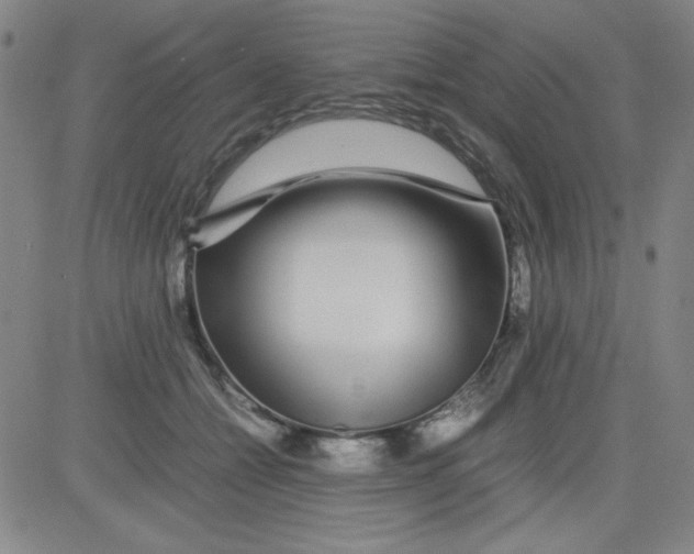 X0000081490558200702021925