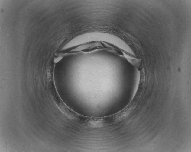 X0000081490560200702021925