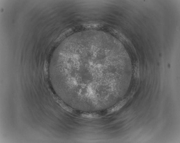 X0000081490561200702021925