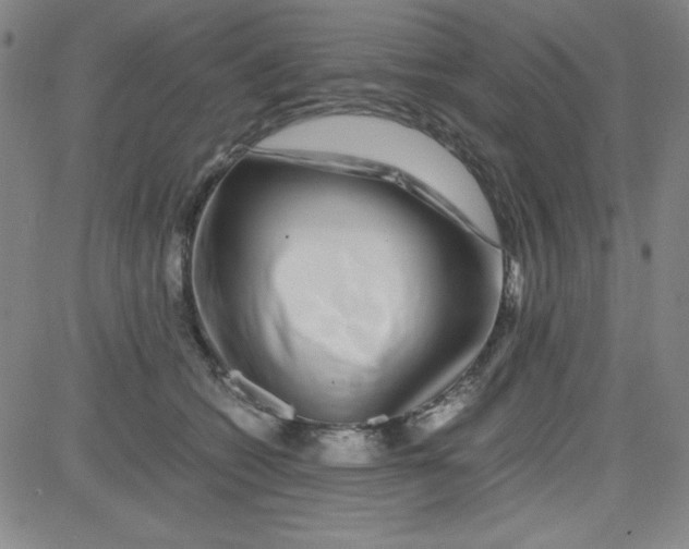 X0000081490562200702021925