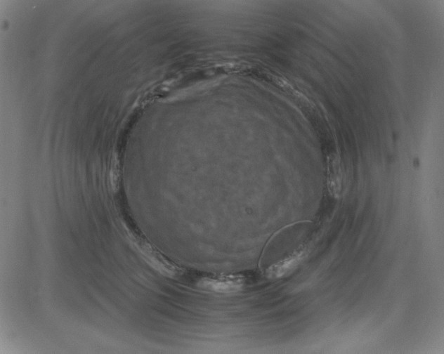 X0000081490563200702021925