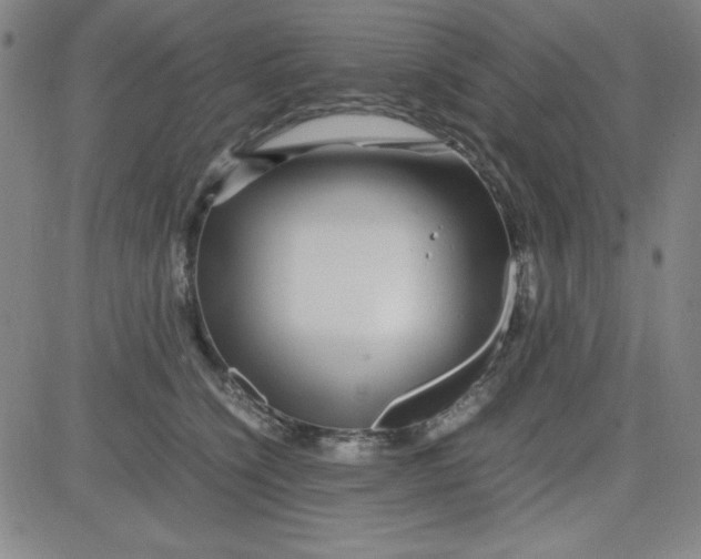 X0000081490564200702021925