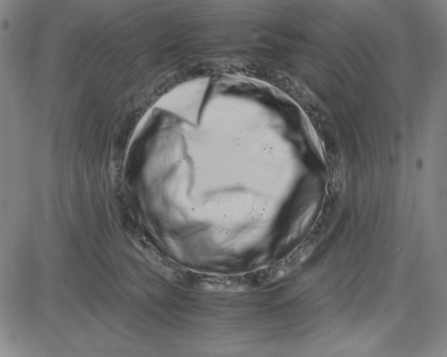 X0000081490565200702021925