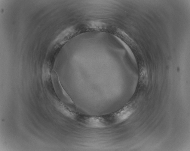 X0000081490566200702021926