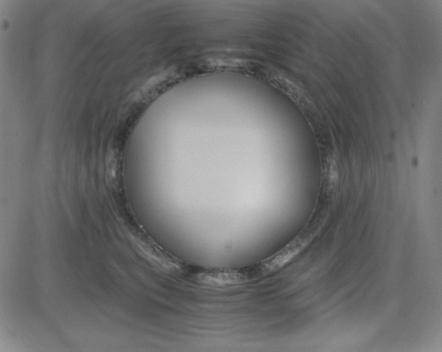 X0000081490567200702021926