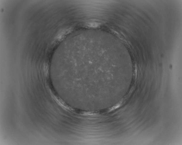 X0000081490568200702021926