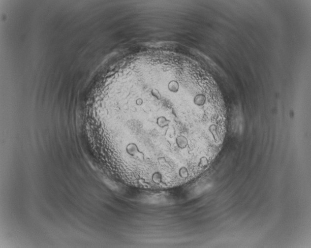 X0000081490569200702021926