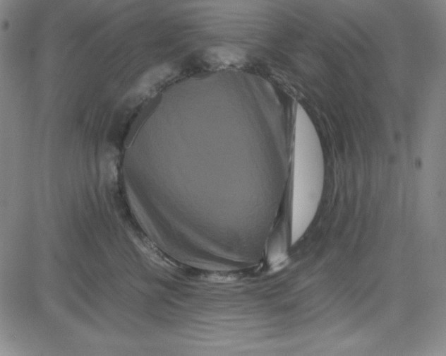 X0000081490570200702021926