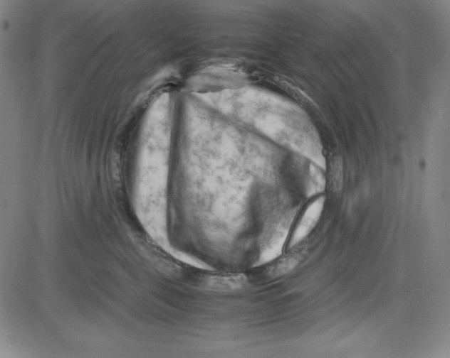 X0000081490571200702021926