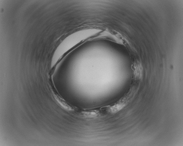 X0000081490572200702021926