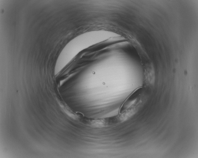 X0000081490574200702021926