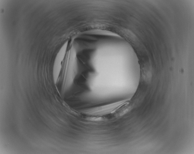 X0000081490575200702021926